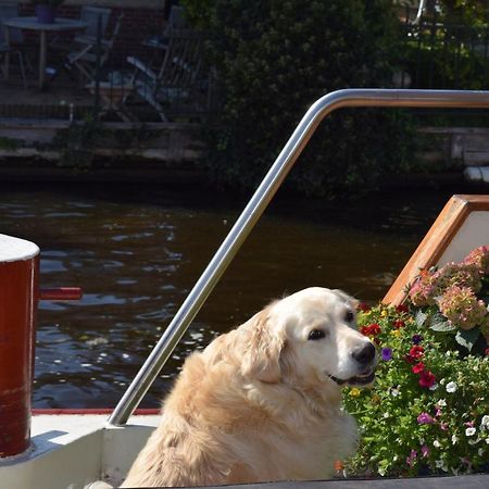 Aurora Bed and Breakfast Schiedam Eksteriør billede